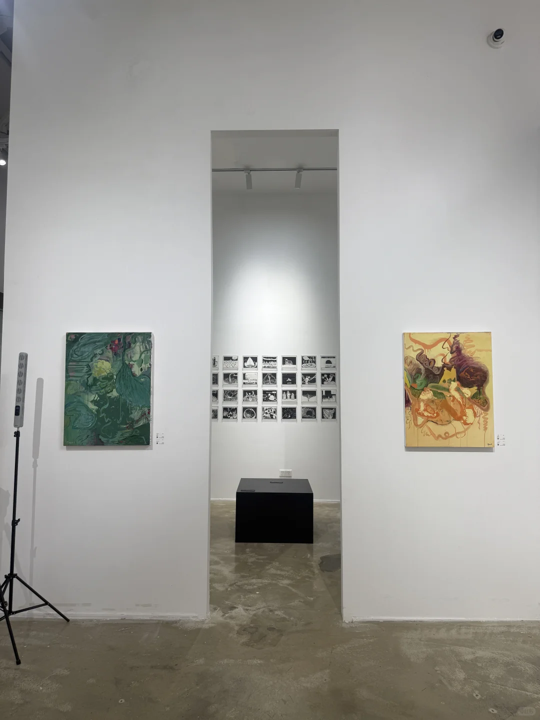 图像游戏3·她者共生—跨境当代艺术展