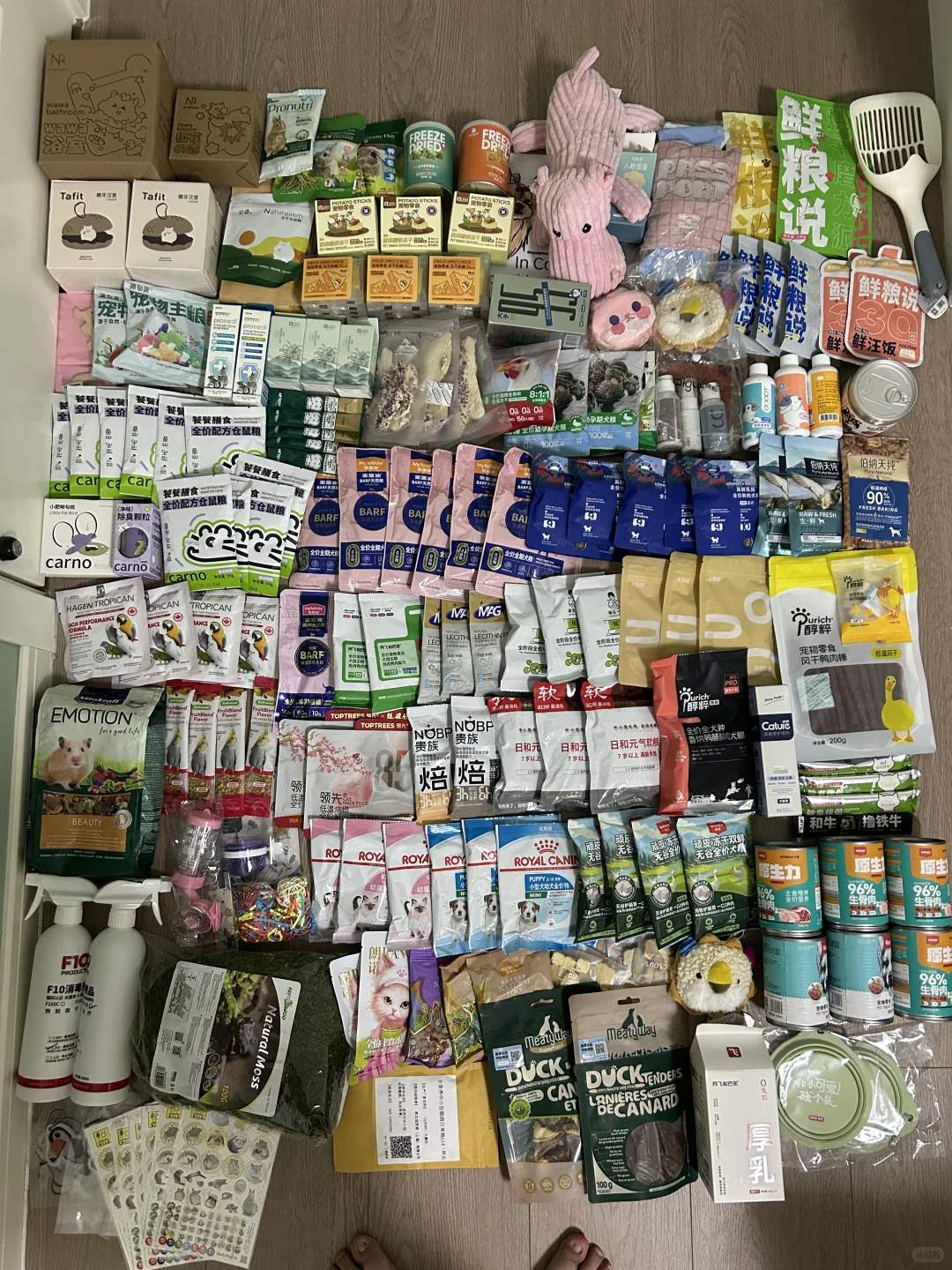 2025年上海亚宠展就要来啦