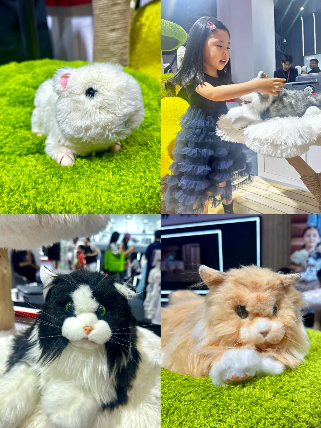 ?8.9世界机器人大会实拍｜带娃逛展惊到尖叫