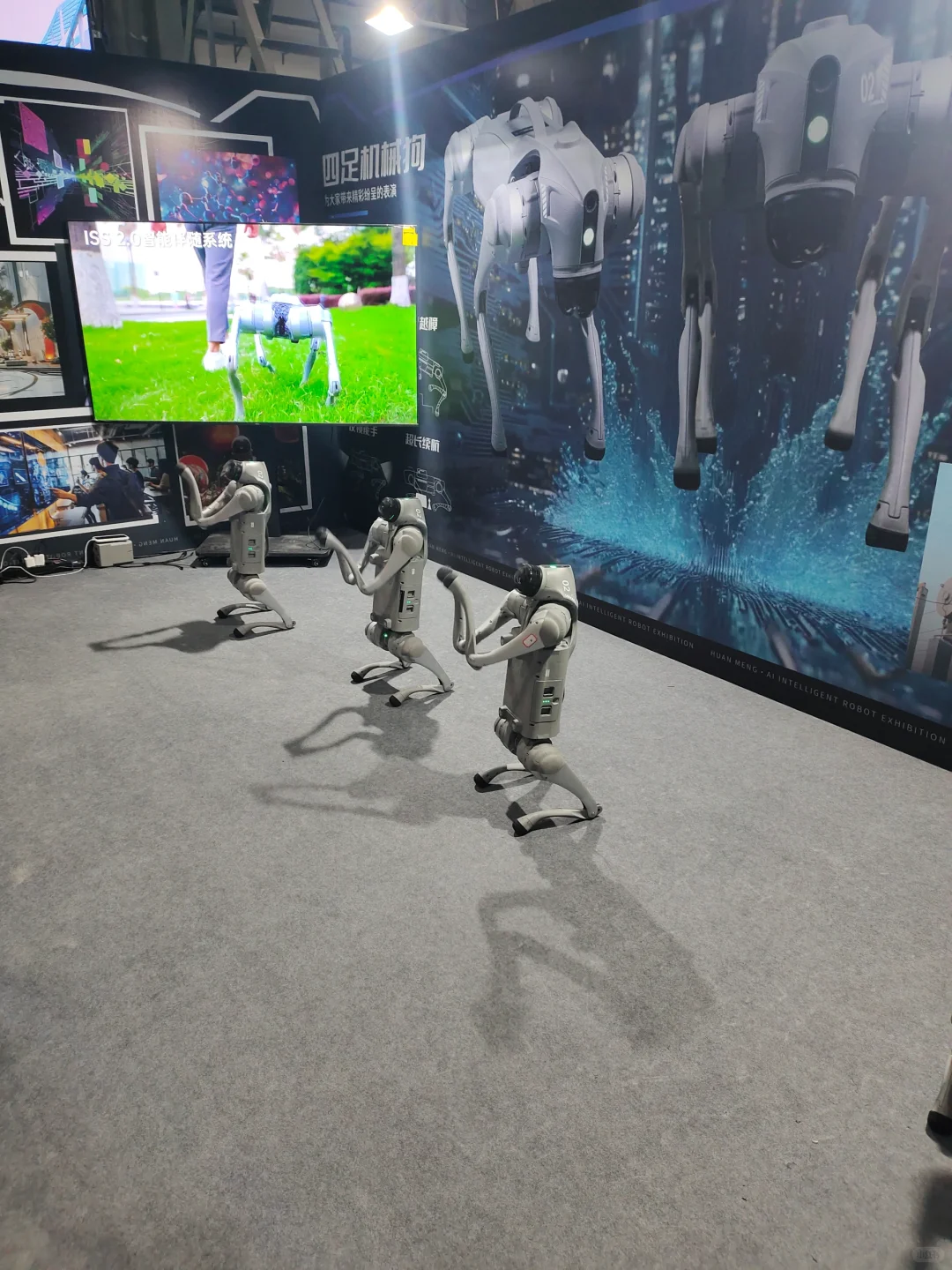 【冷静】环梦AI机器人科普展，值得去吗？