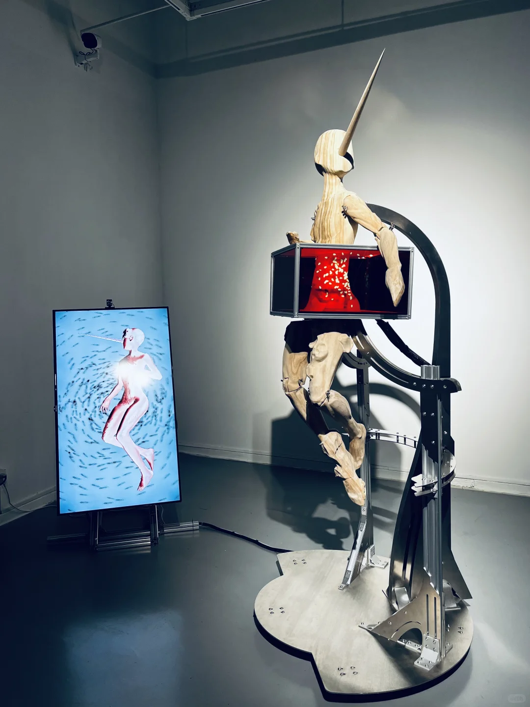 免费！苏州遛娃不暴晒！金鸡湖美术馆双展封神