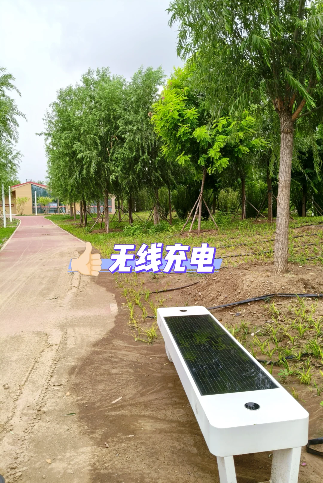 新晋打卡公园--国展后花园，太赞！