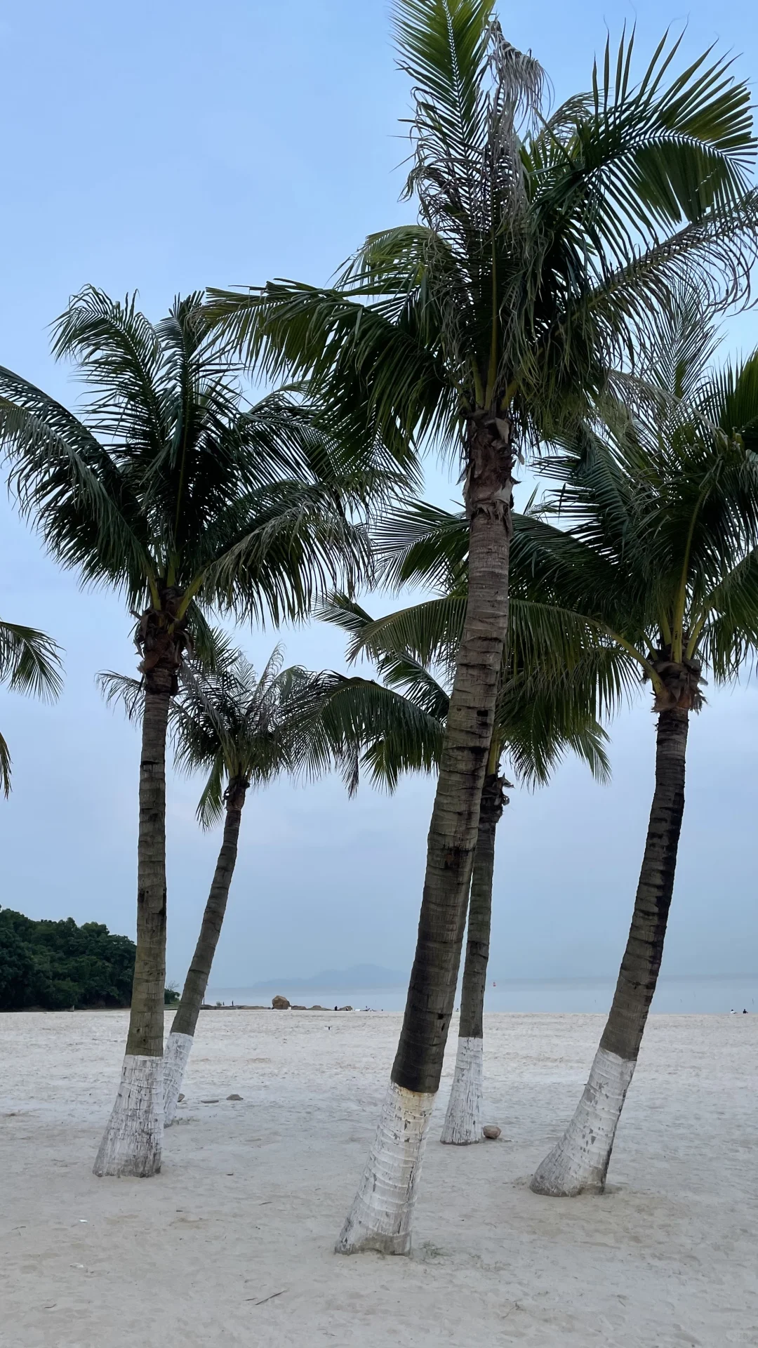 珠海?白沙滩真的很好看！