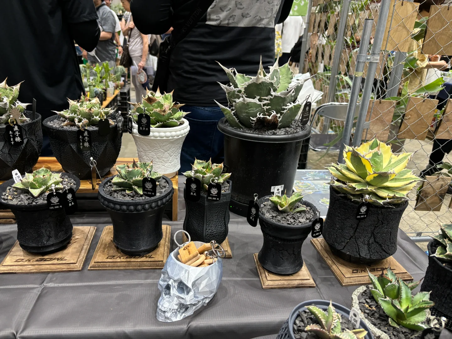国际会展中心：花卉园艺展