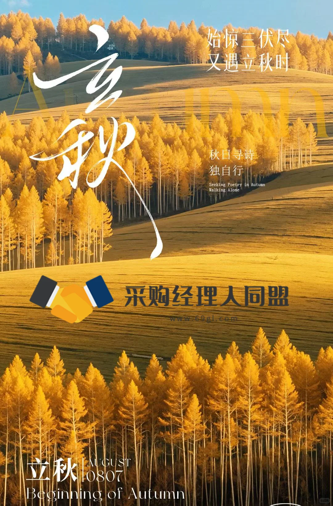 别的群都发广告，我这个群只发采购需求哦