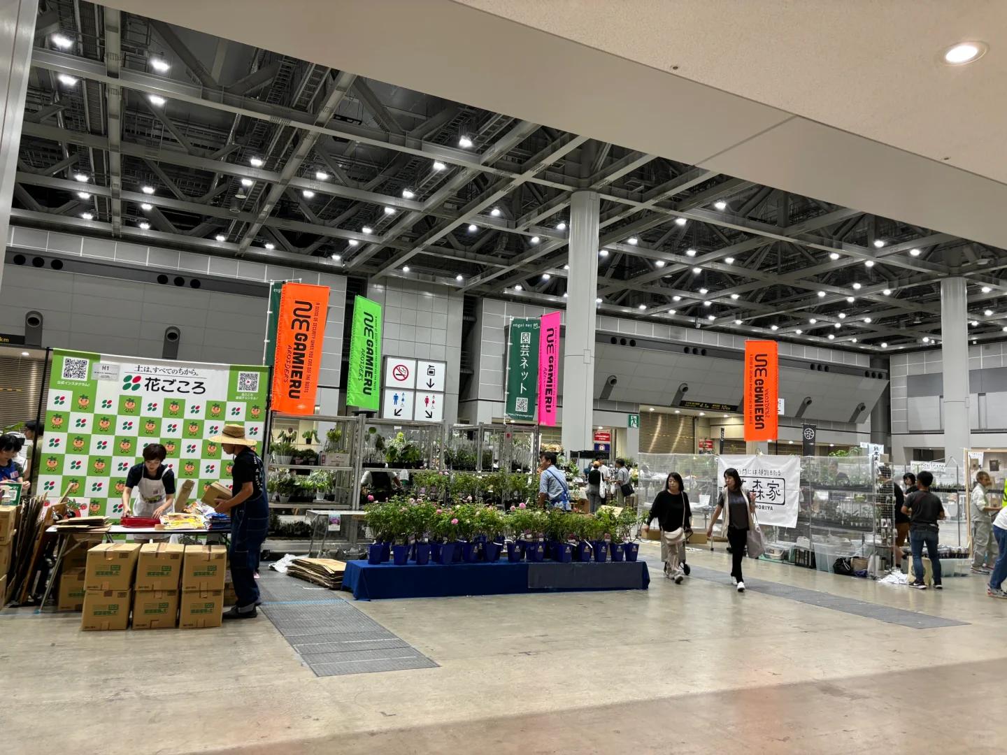 国际会展中心：花卉园艺展