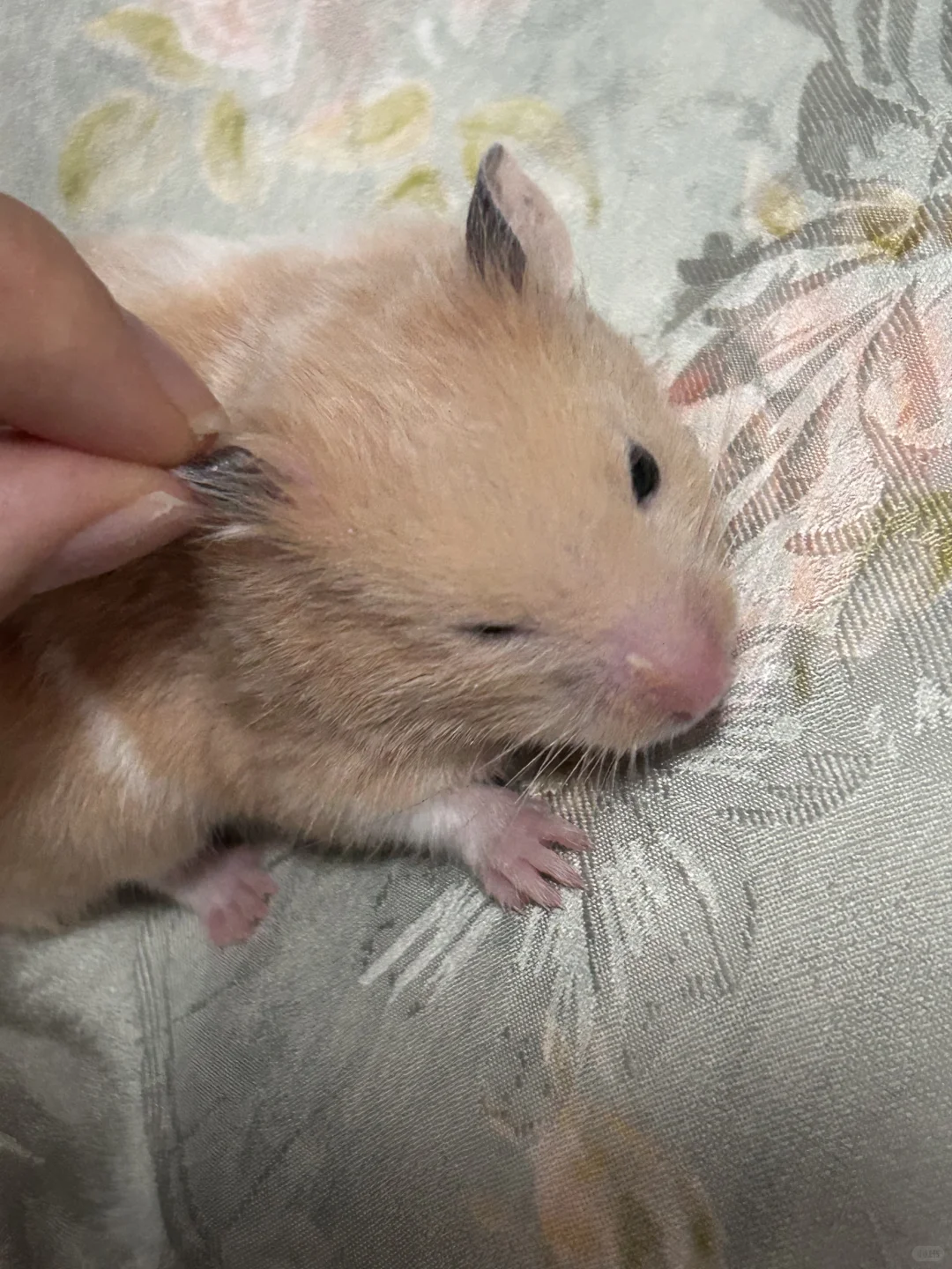 最可爱的宝宝?