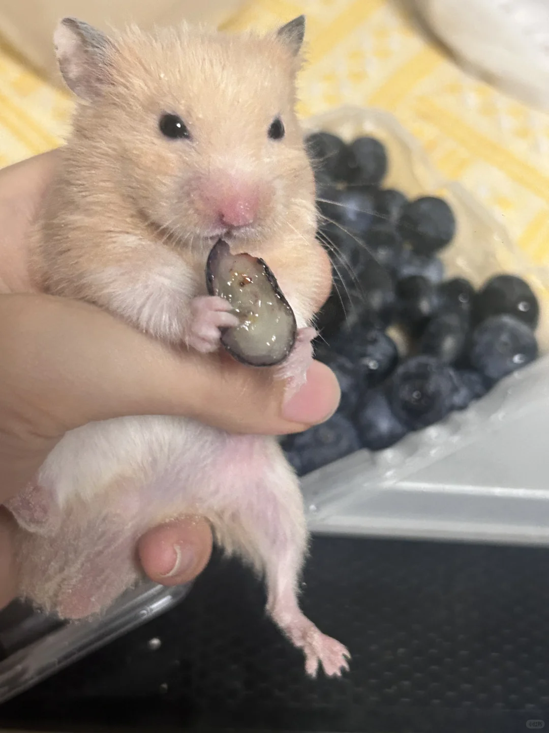 最可爱的宝宝?