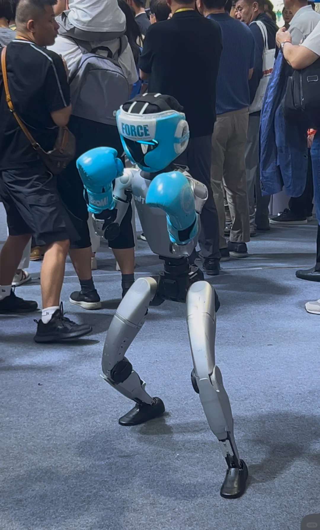 普通人参观2025世界机器人大会