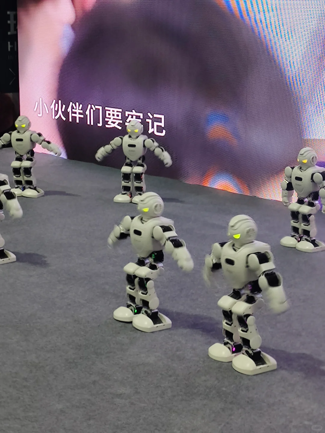 【冷静】环梦AI机器人科普展，值得去吗？