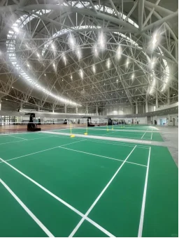 从会展到球场，唤醒城市活力基因