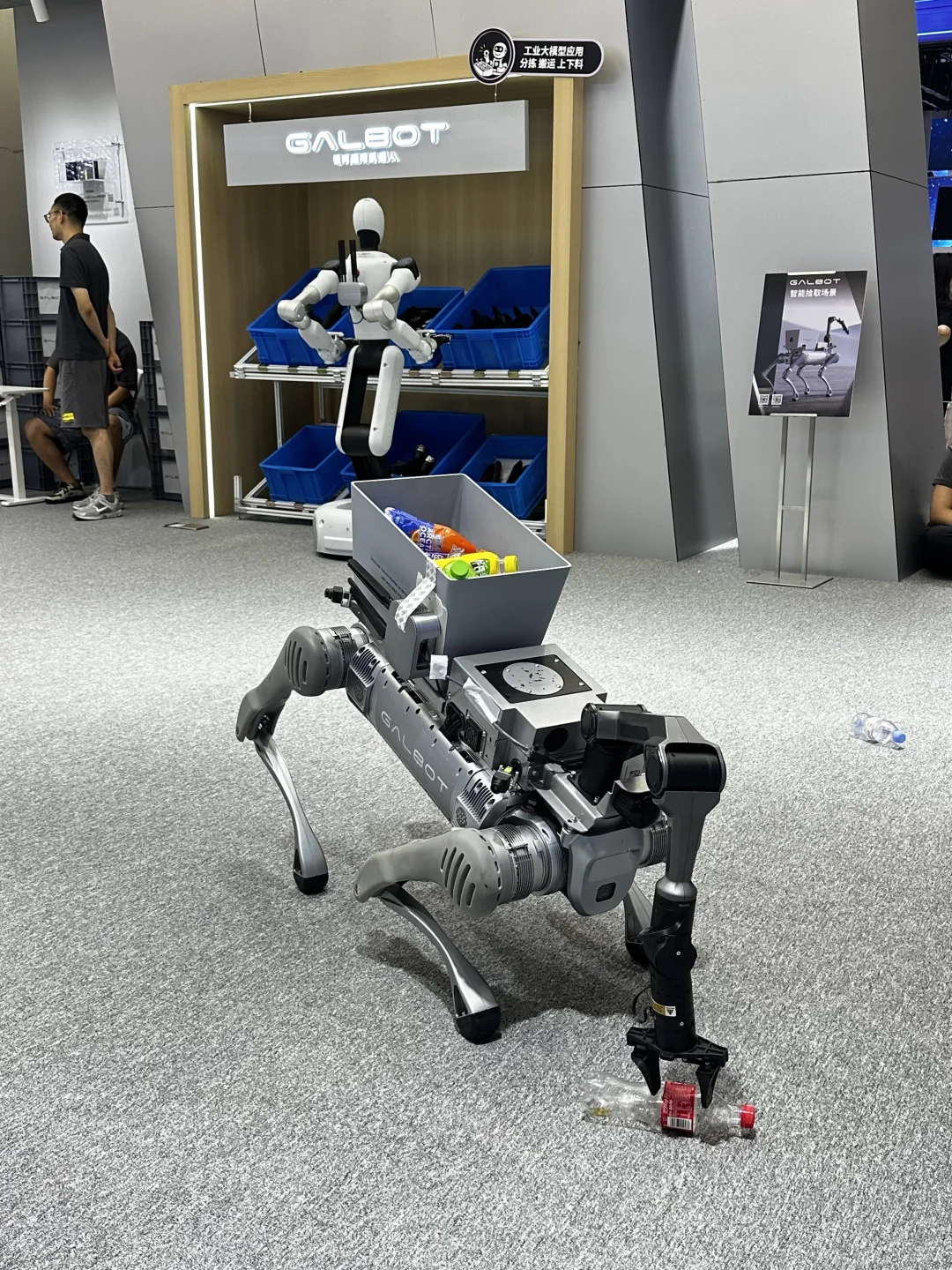 ?8.9世界机器人大会实拍｜带娃逛展惊到尖叫