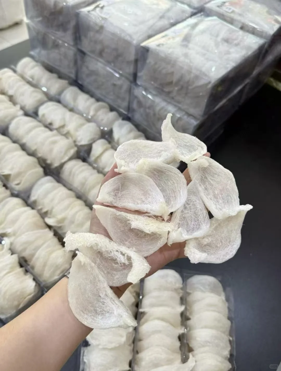 8.8-8.10汕头会展中心！现场义诊小惊喜等你