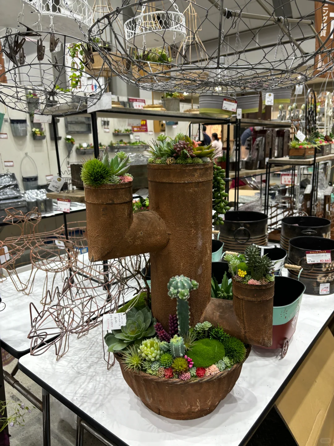 国际会展中心：花卉园艺展