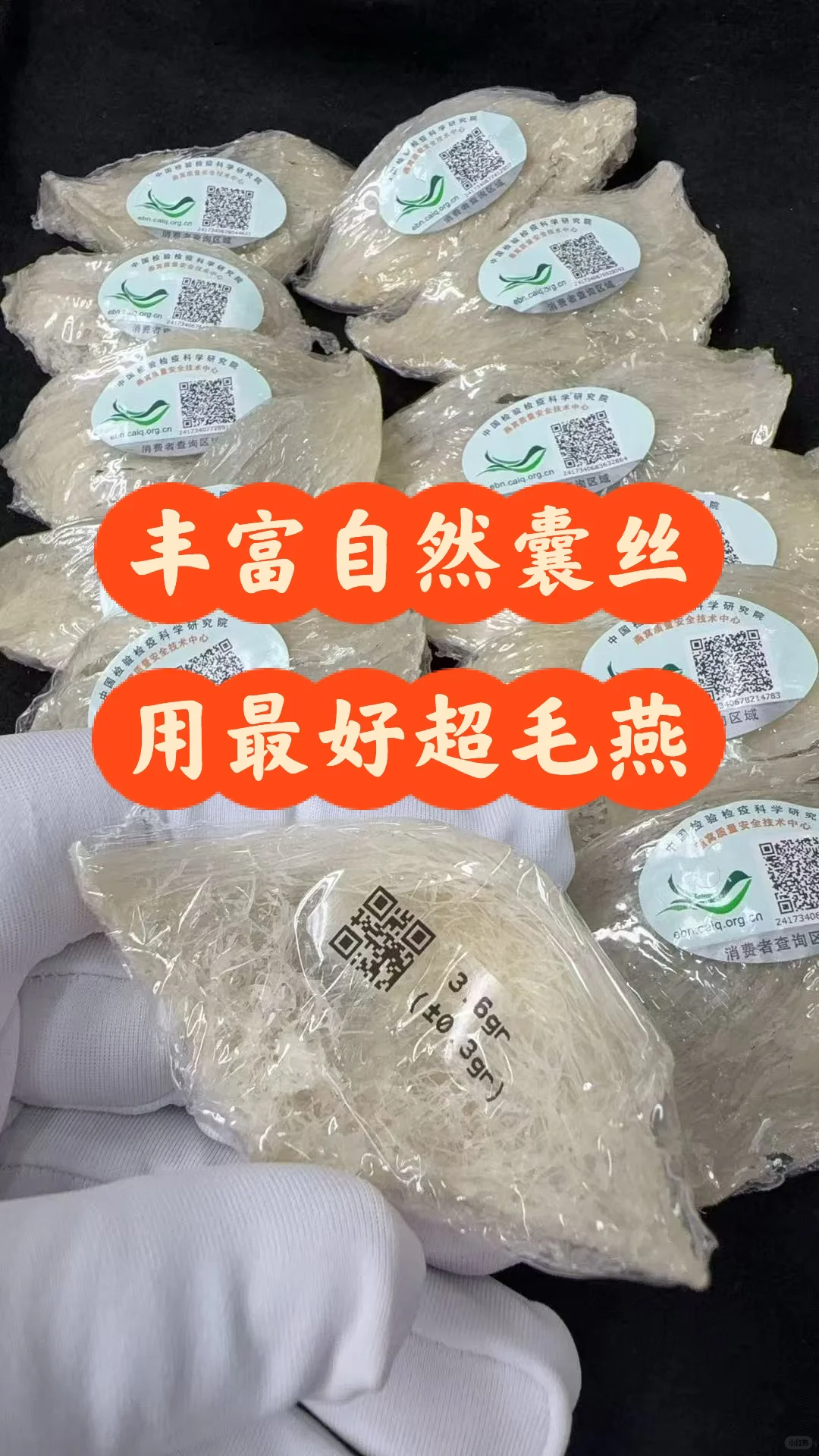 相约燕窝展会8月7日