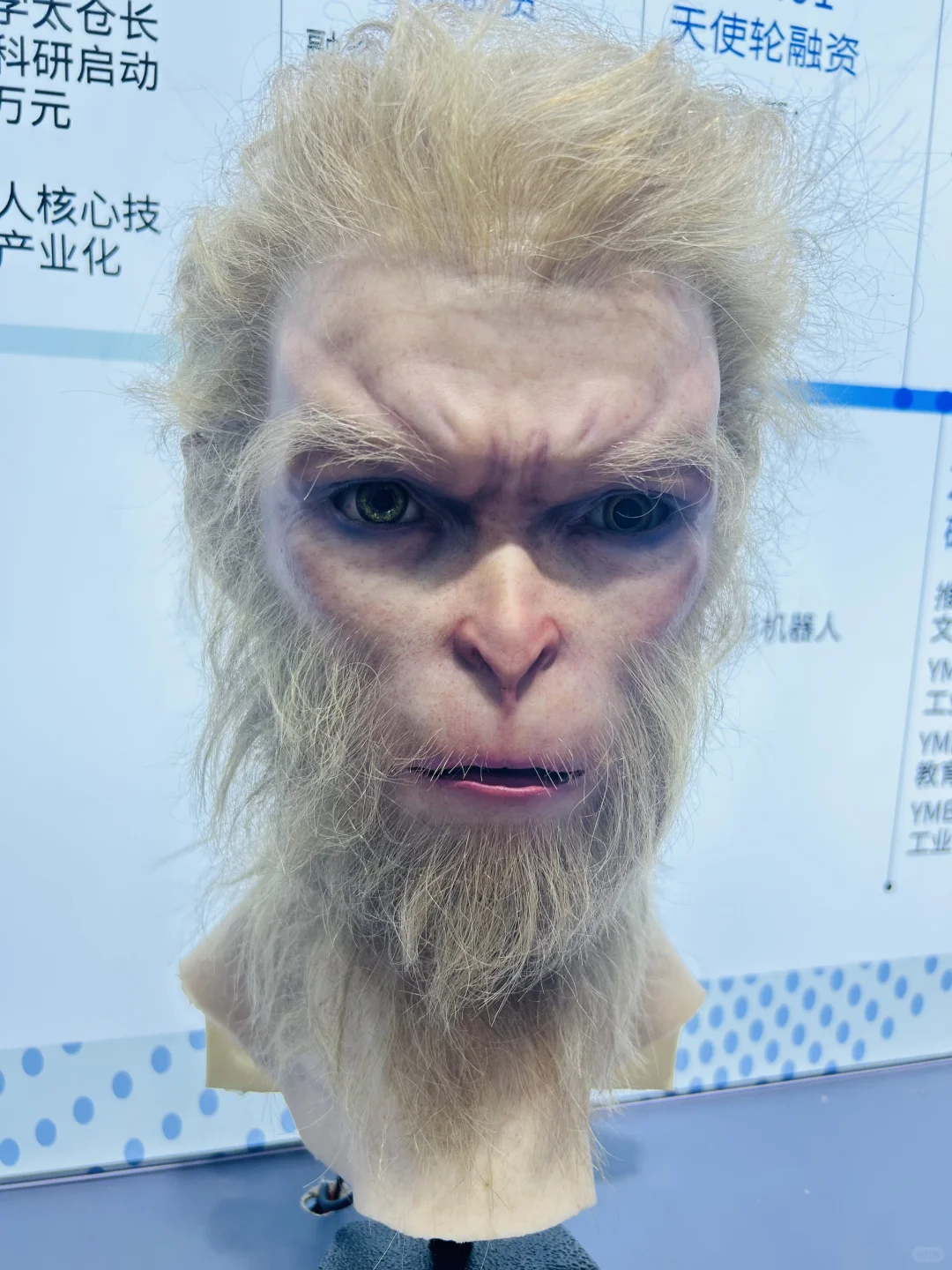 普通人参观2025世界机器人大会