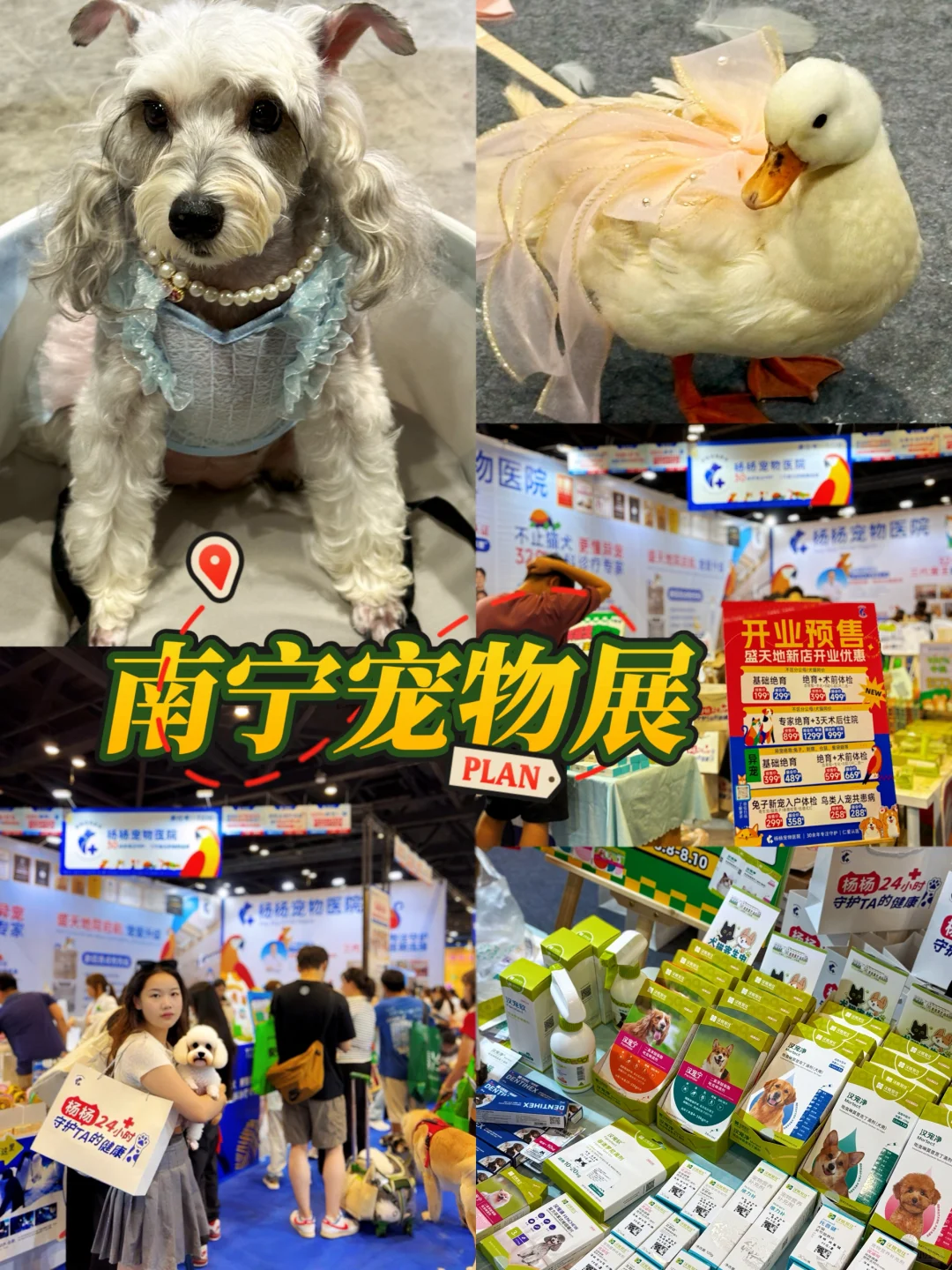 南宁世宠会暴走3小时！?逛展干货全在这里！