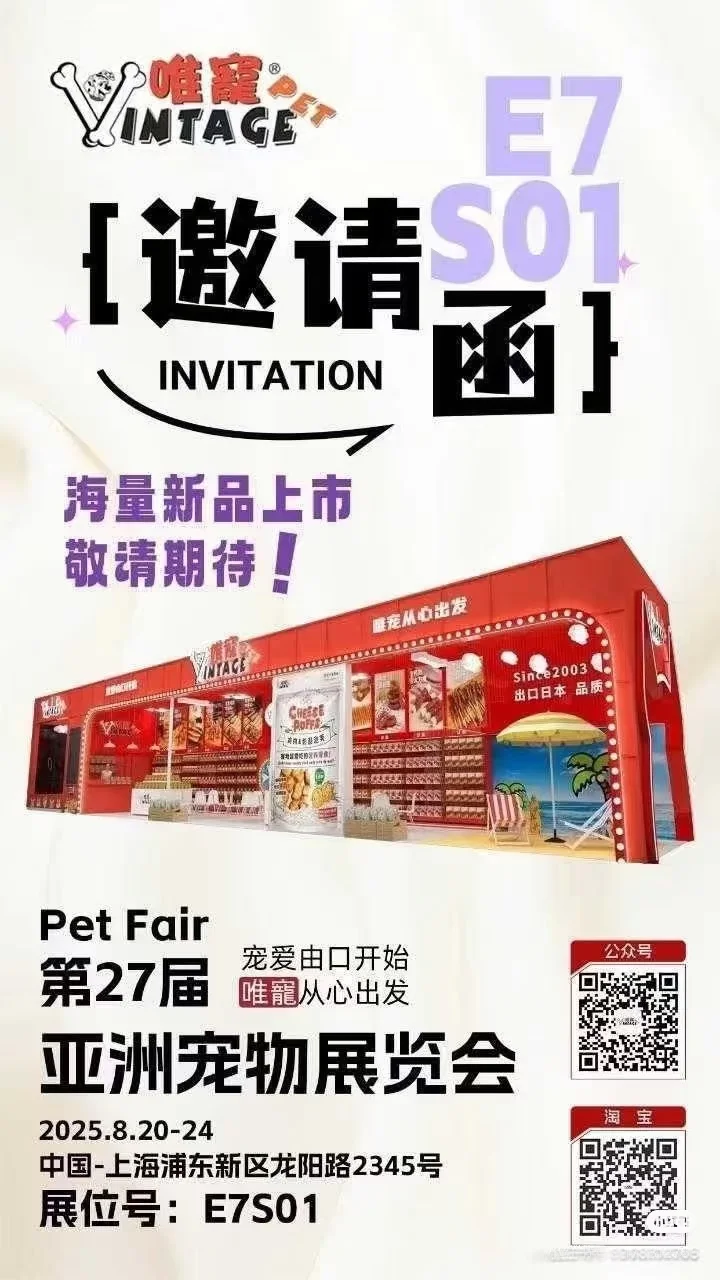 小猫们终于见面了！宠物展！