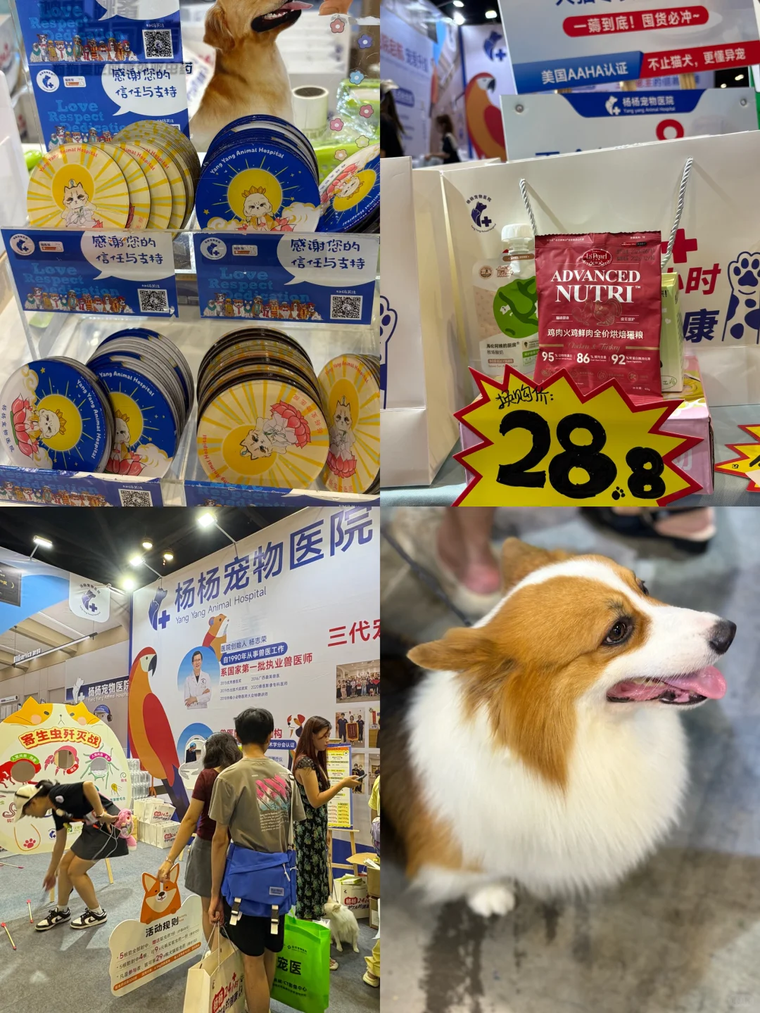 南宁世宠会暴走3小时！?逛展干货全在这里！
