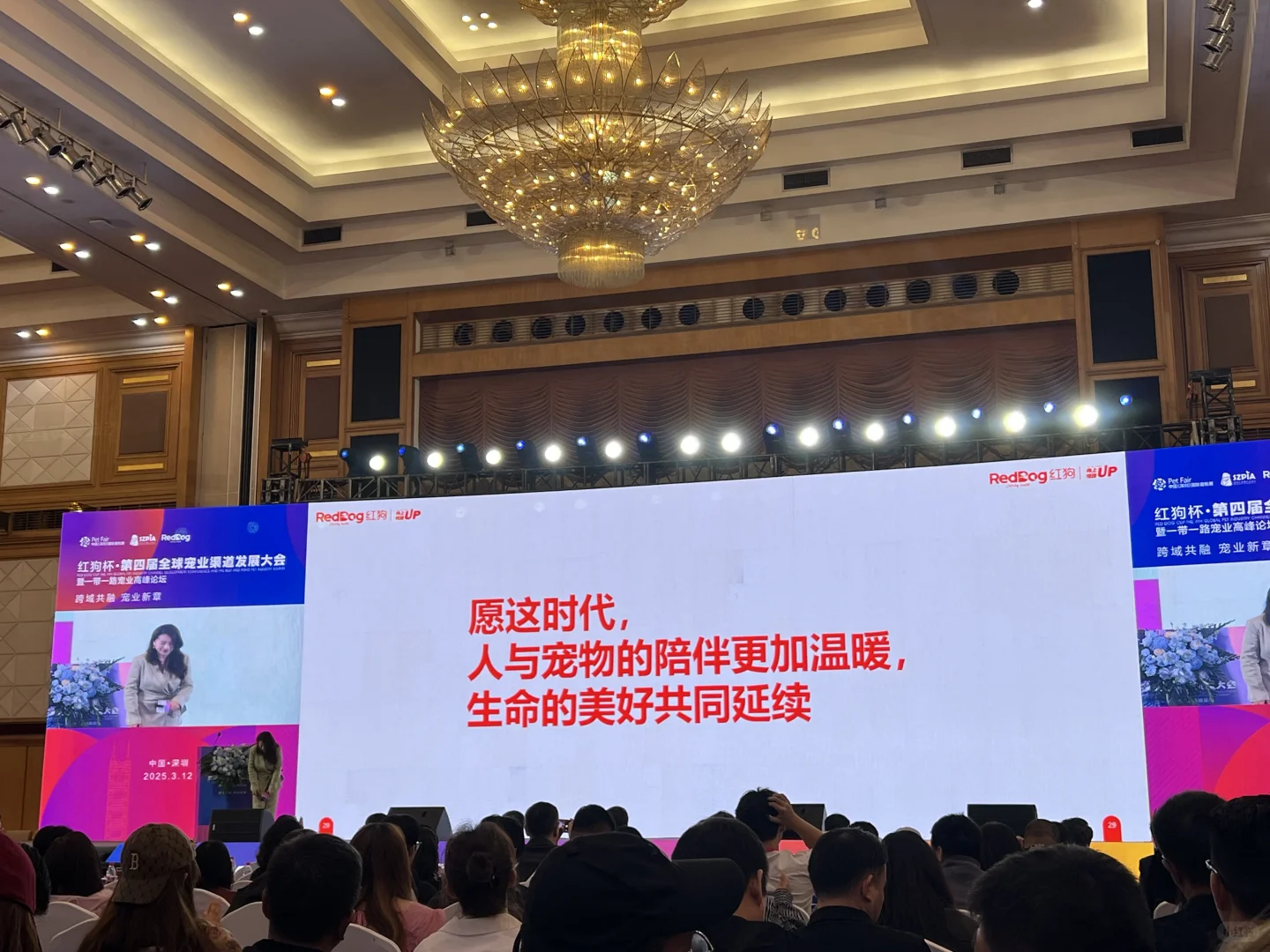 2025宠物行业新机遇新方向