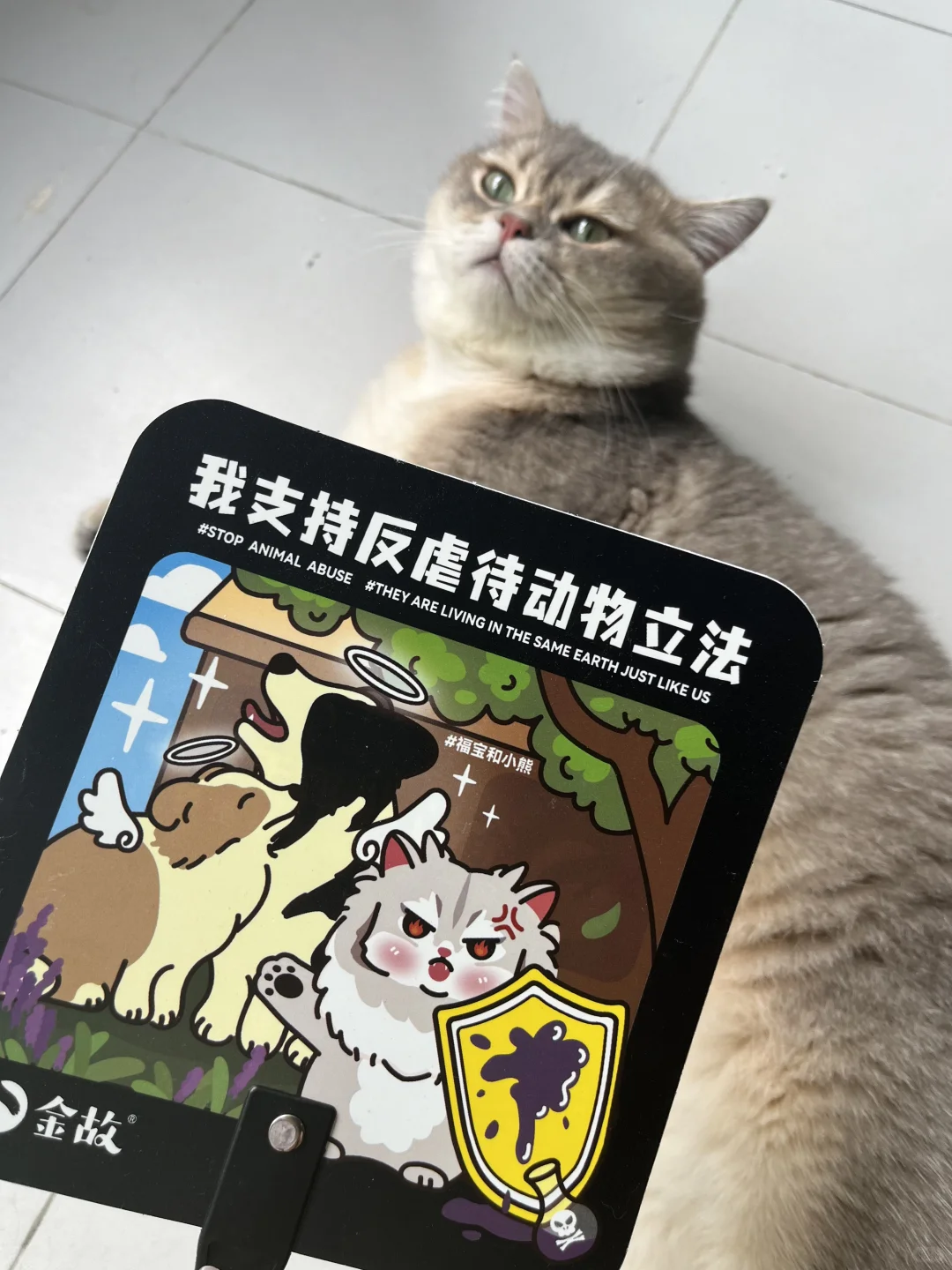 2025年亚宠展保姆级攻略（新手篇）