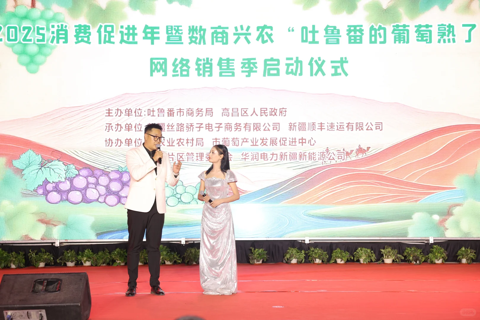 助推新疆吐鲁番水果迈向全国