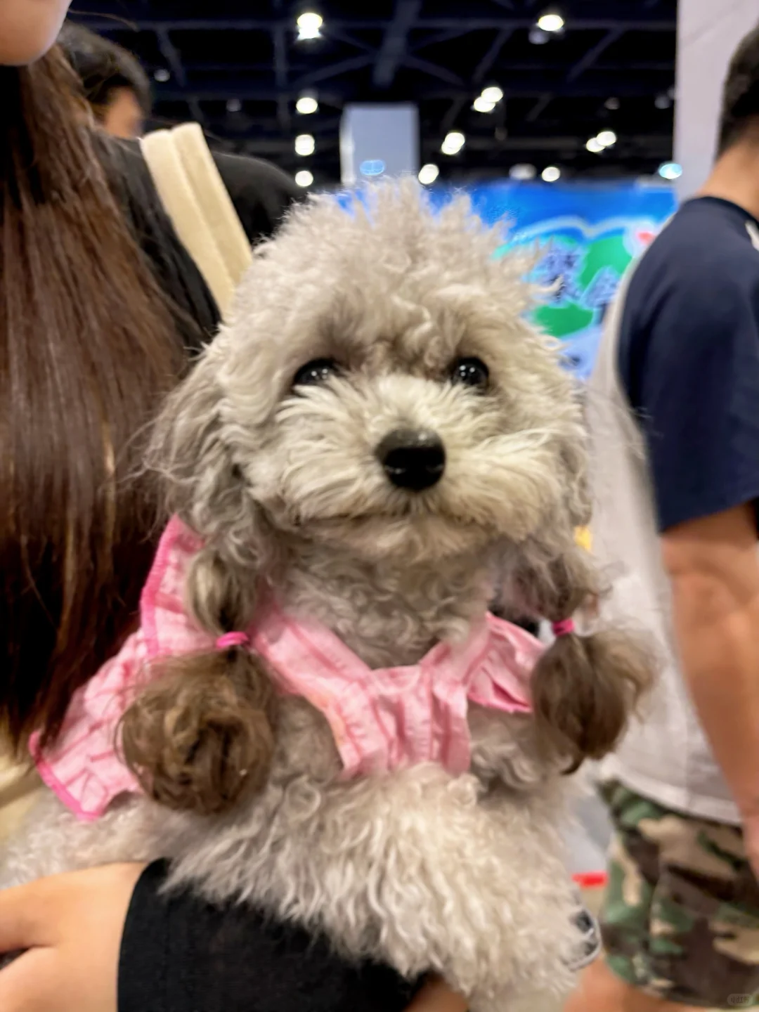 南宁世宠会暴走3小时！?逛展干货全在这里！