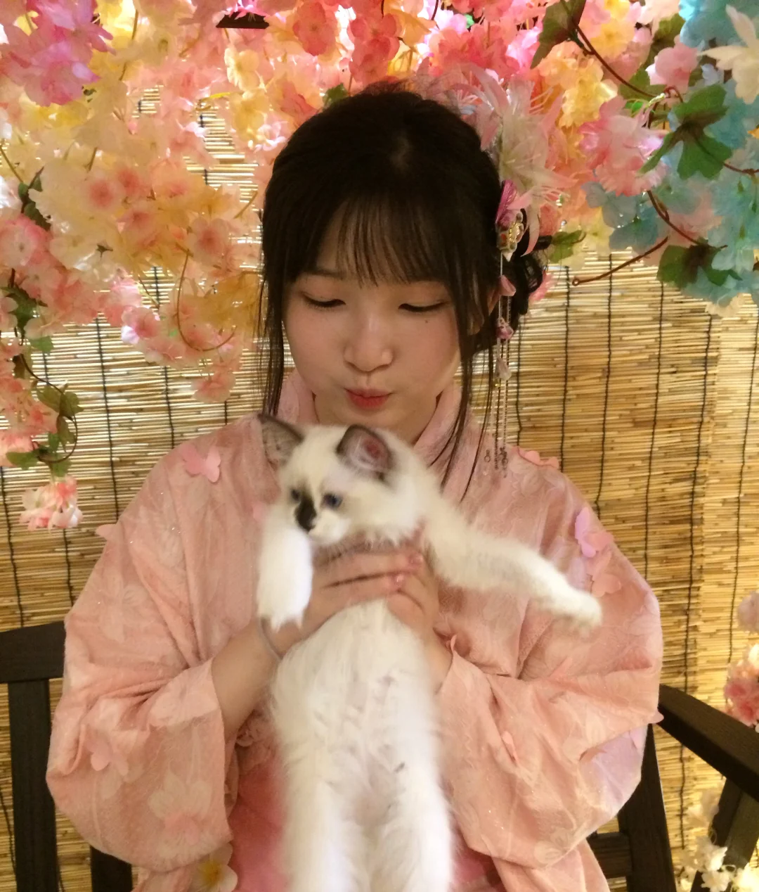 杭州花间绘影和服猫咖攻略