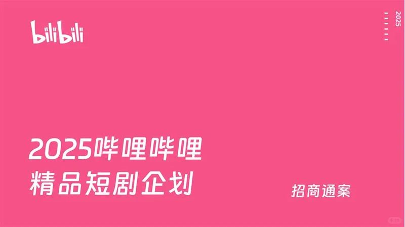 2025综艺招商跨界合作方案PP模板爆款
