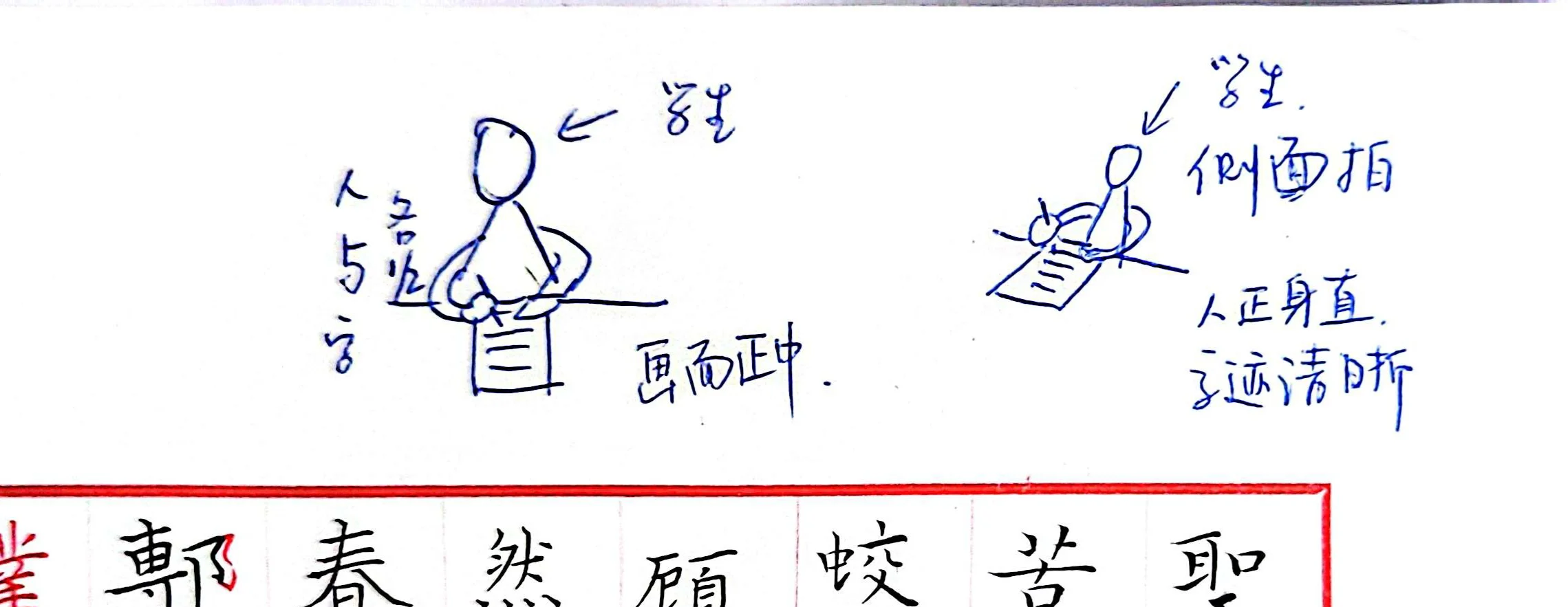 书法教培经验分享