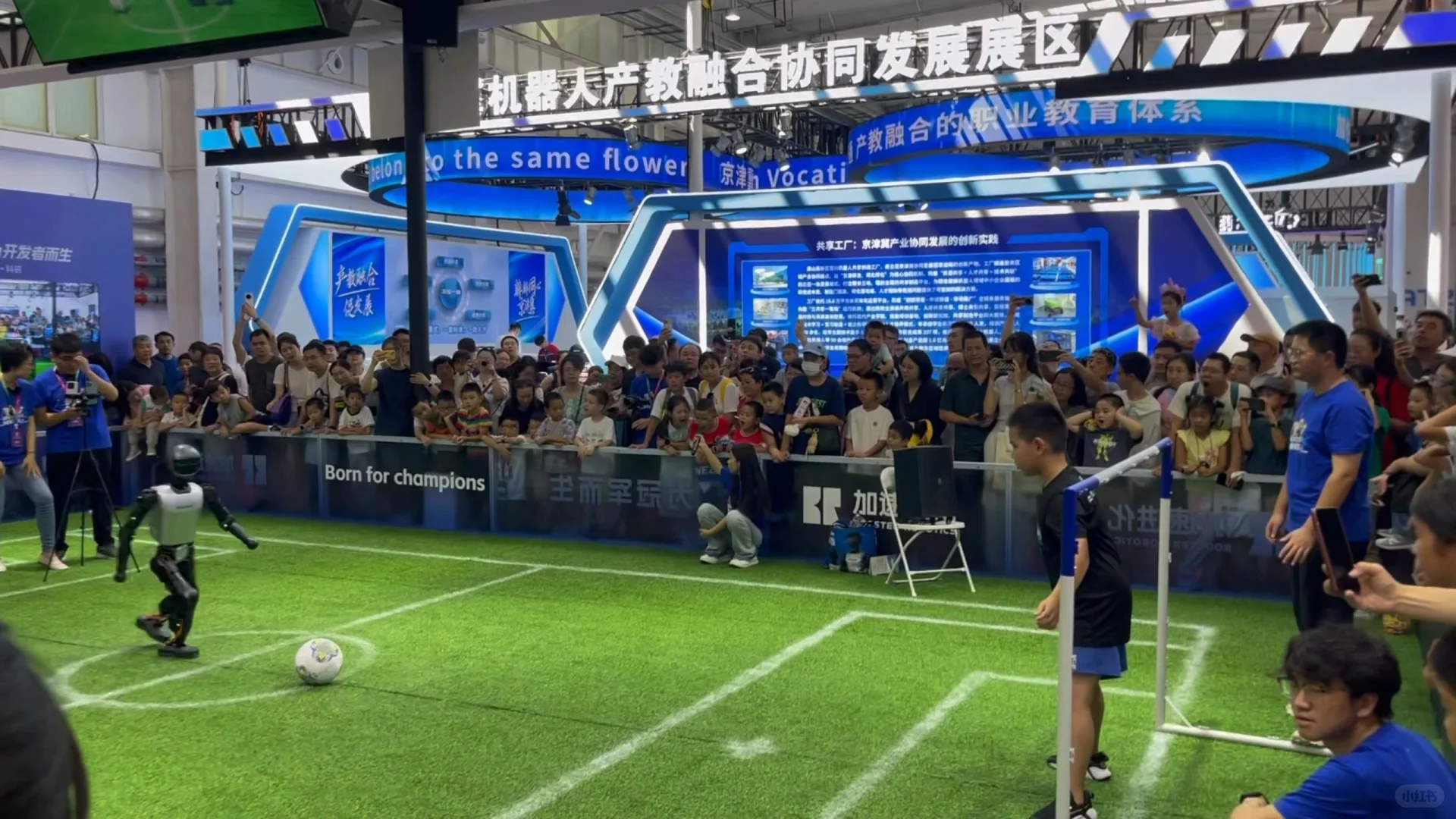插播一条！来亦庄看世界机器人大会啦！