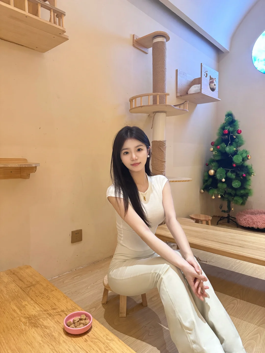 邯郸｜CATEA撸猫馆