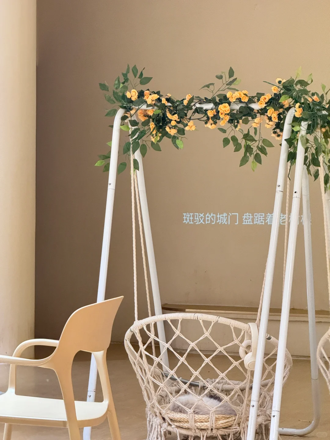 邯郸｜CATEA撸猫馆