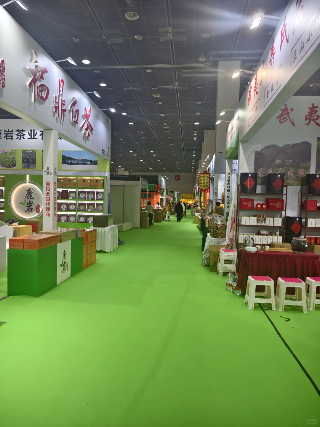 无锡茶博会逛了什么？