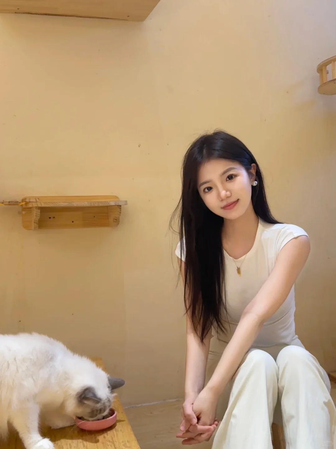 邯郸｜CATEA撸猫馆