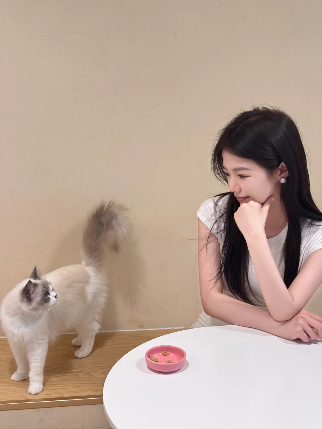 邯郸｜CATEA撸猫馆