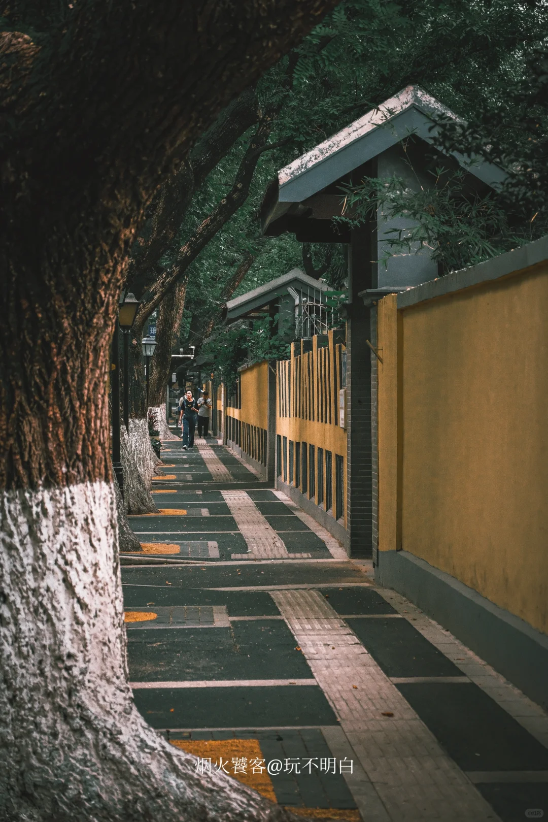 探访·颐和/阴天闲游才是颐和路正确打开方式