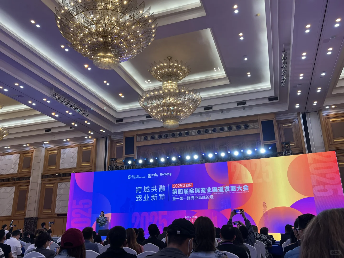 2025宠物行业新机遇新方向