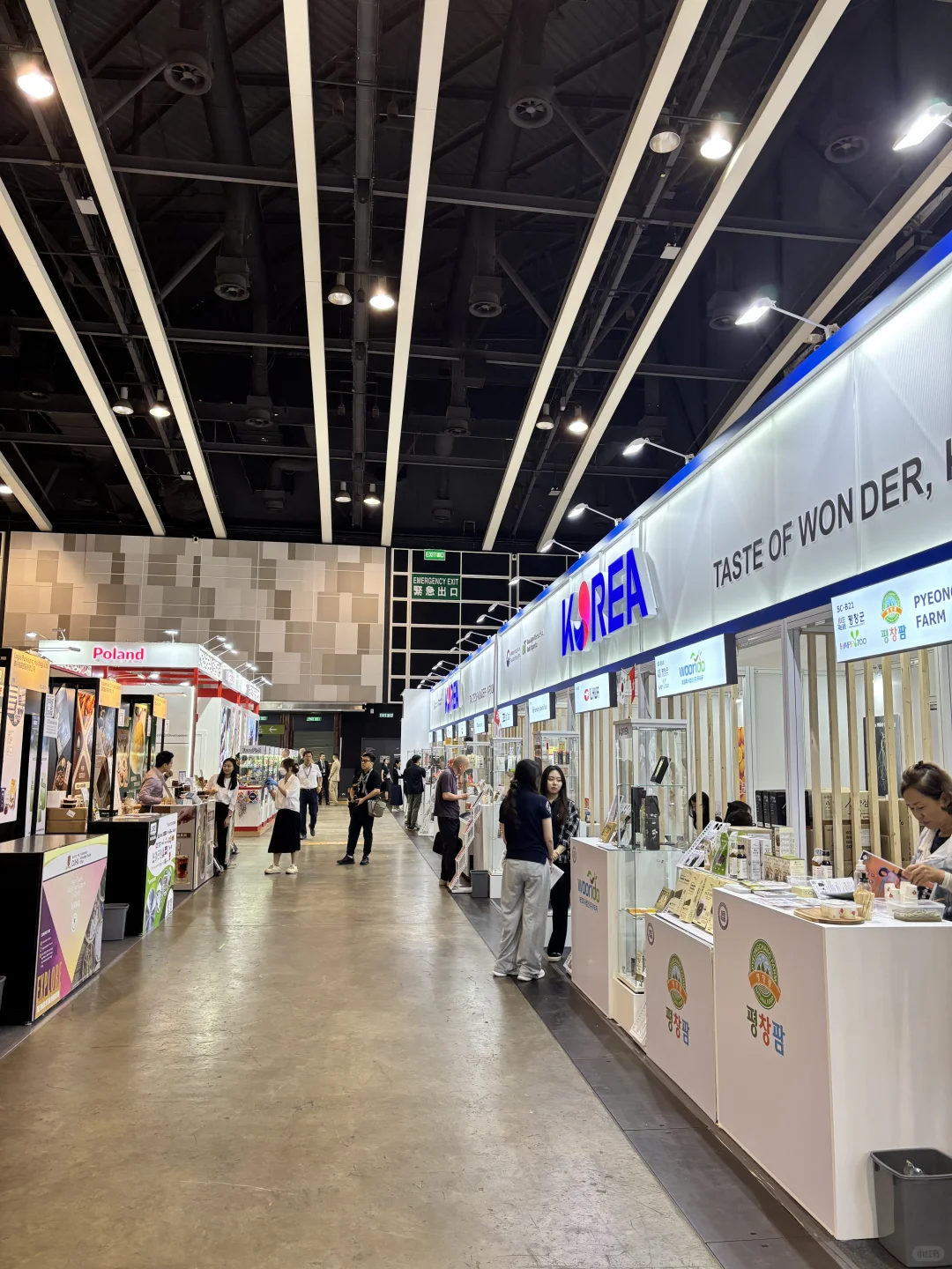 人在系列之～ 香港美食博览会牛马