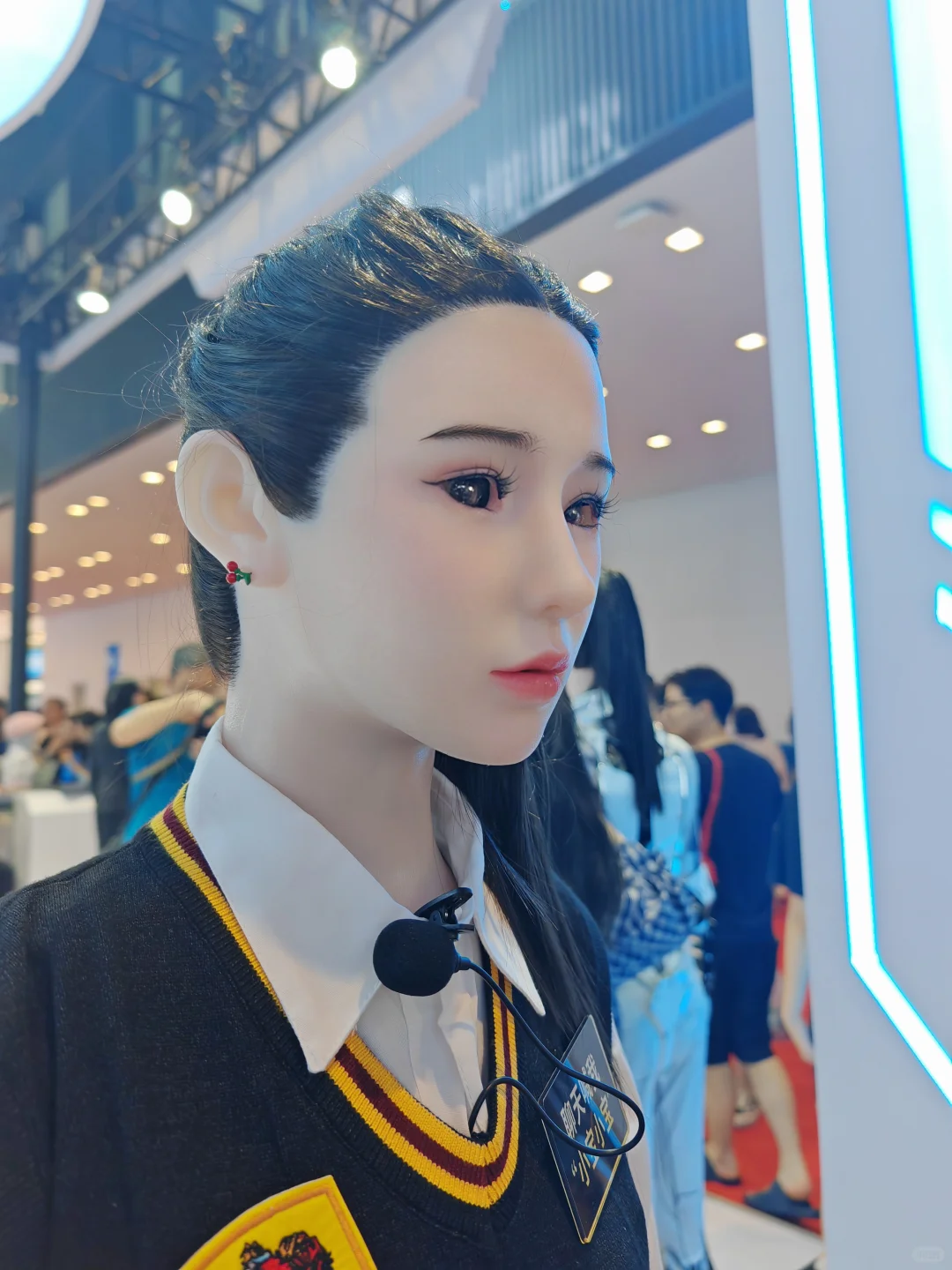第一次参观机器人博览会