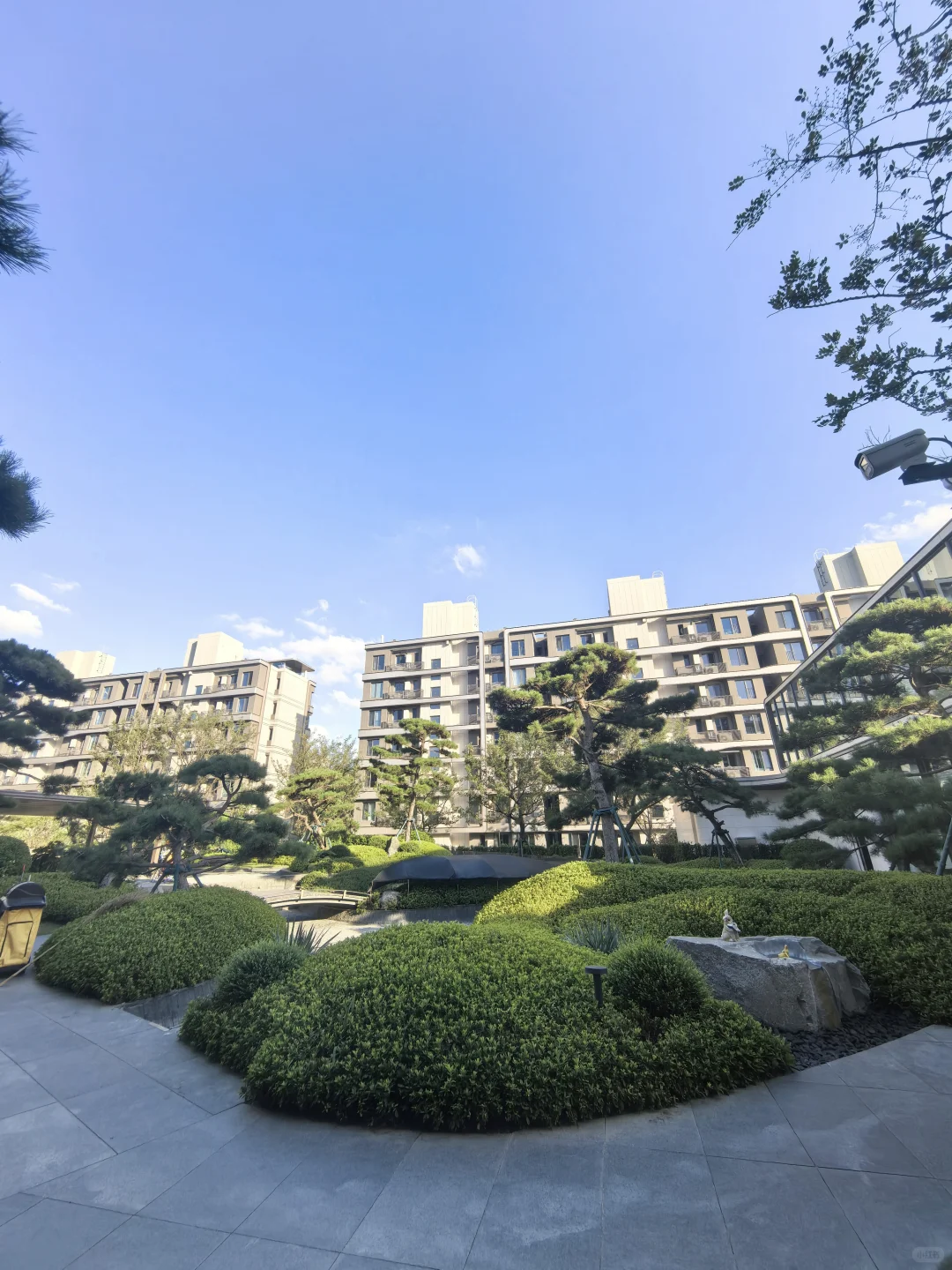 国家会展中心附近新房空房？这小区太宝藏了