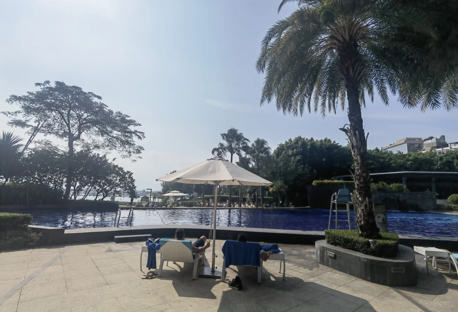 深圳工业展览馆 深圳湾公园 深圳人才公园