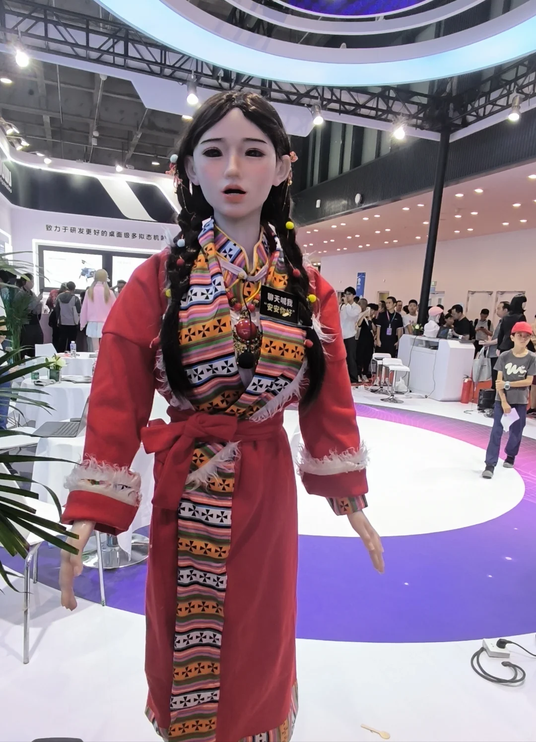 2025世界机器人大会