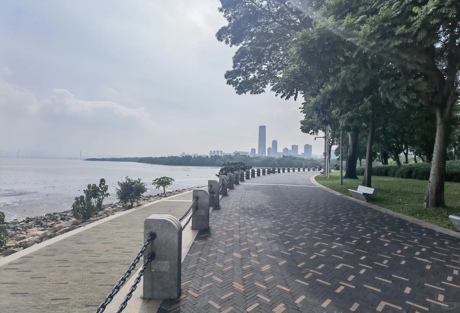 深圳工业展览馆 深圳湾公园 深圳人才公园