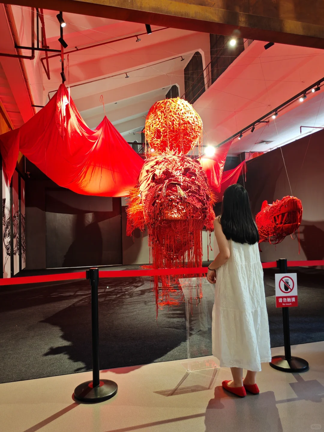 柳州新展｜一个很新！很有意思的！展?