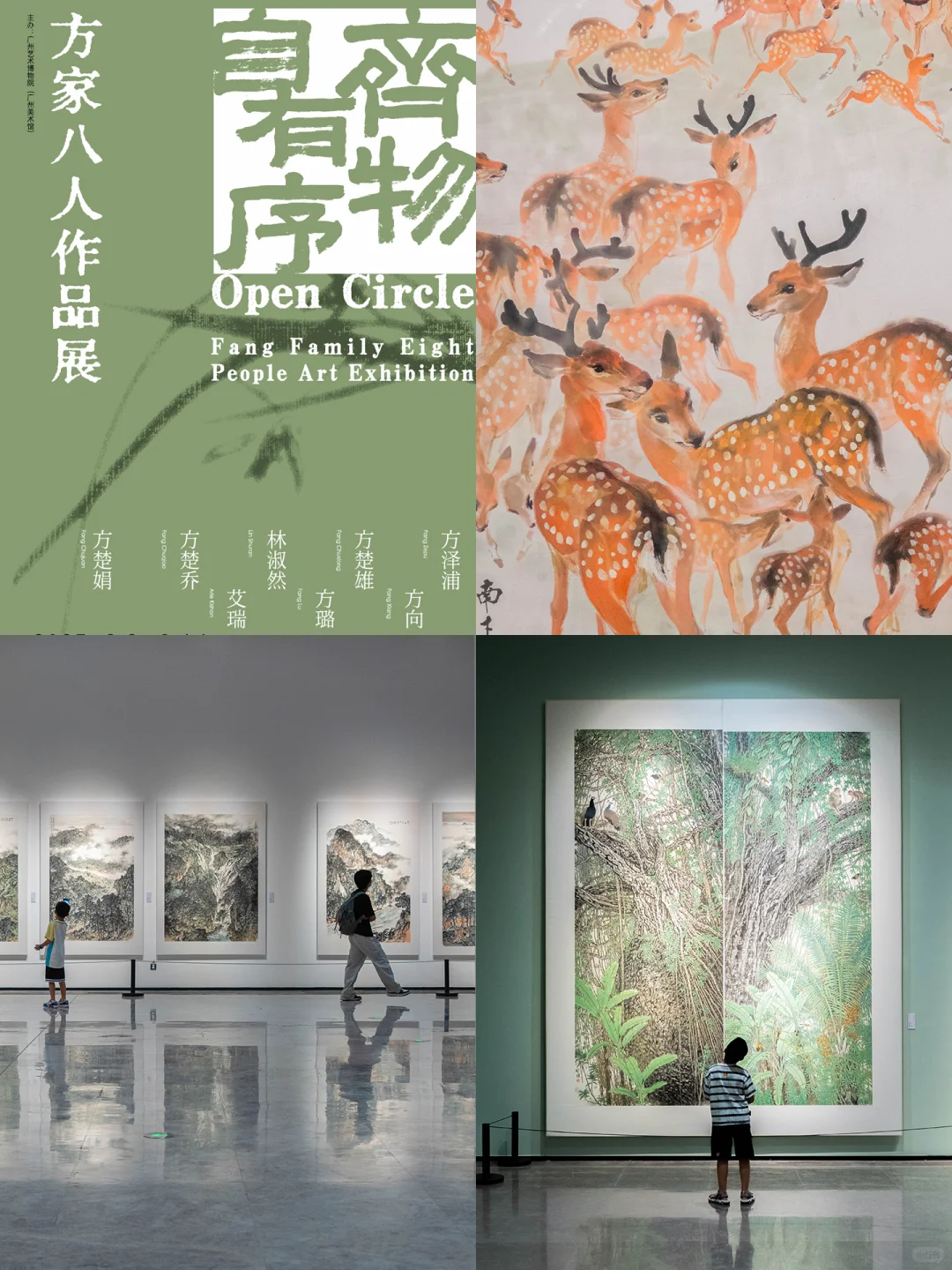 广州新展?烈日下一片清凉的绿荫
