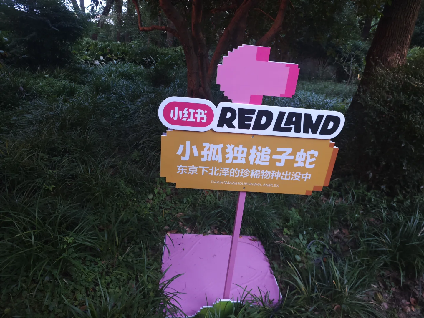 REDLAND让我意识到商业漫展的新方向