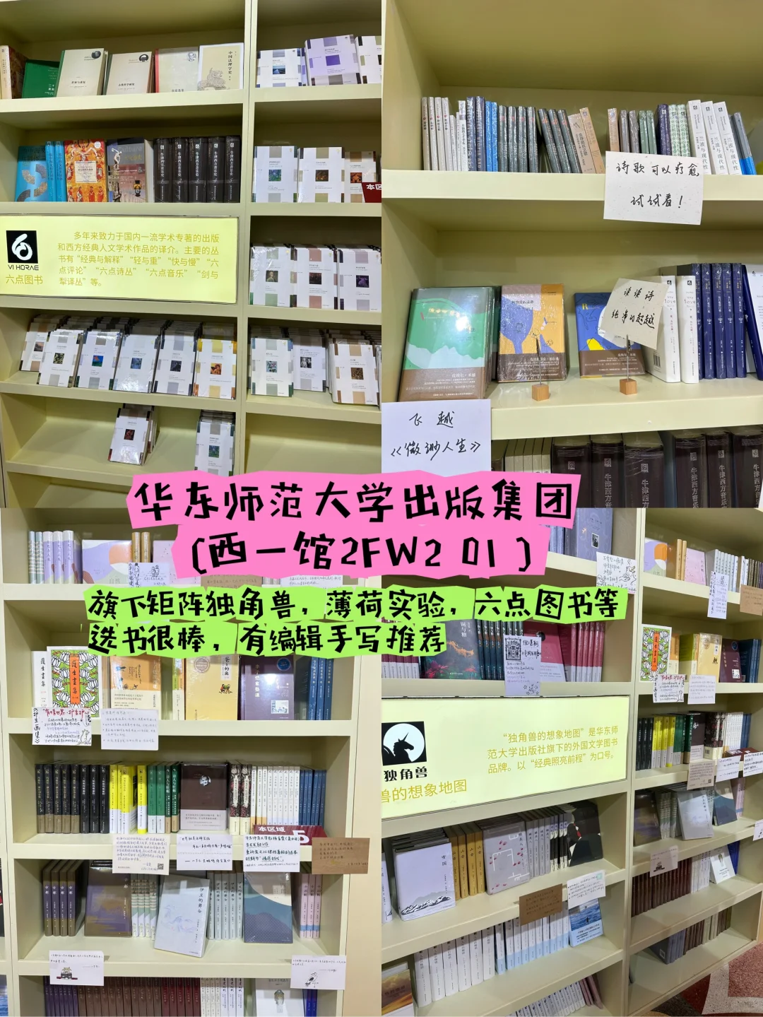 2025上海书展路线推荐&值得逛攻略
