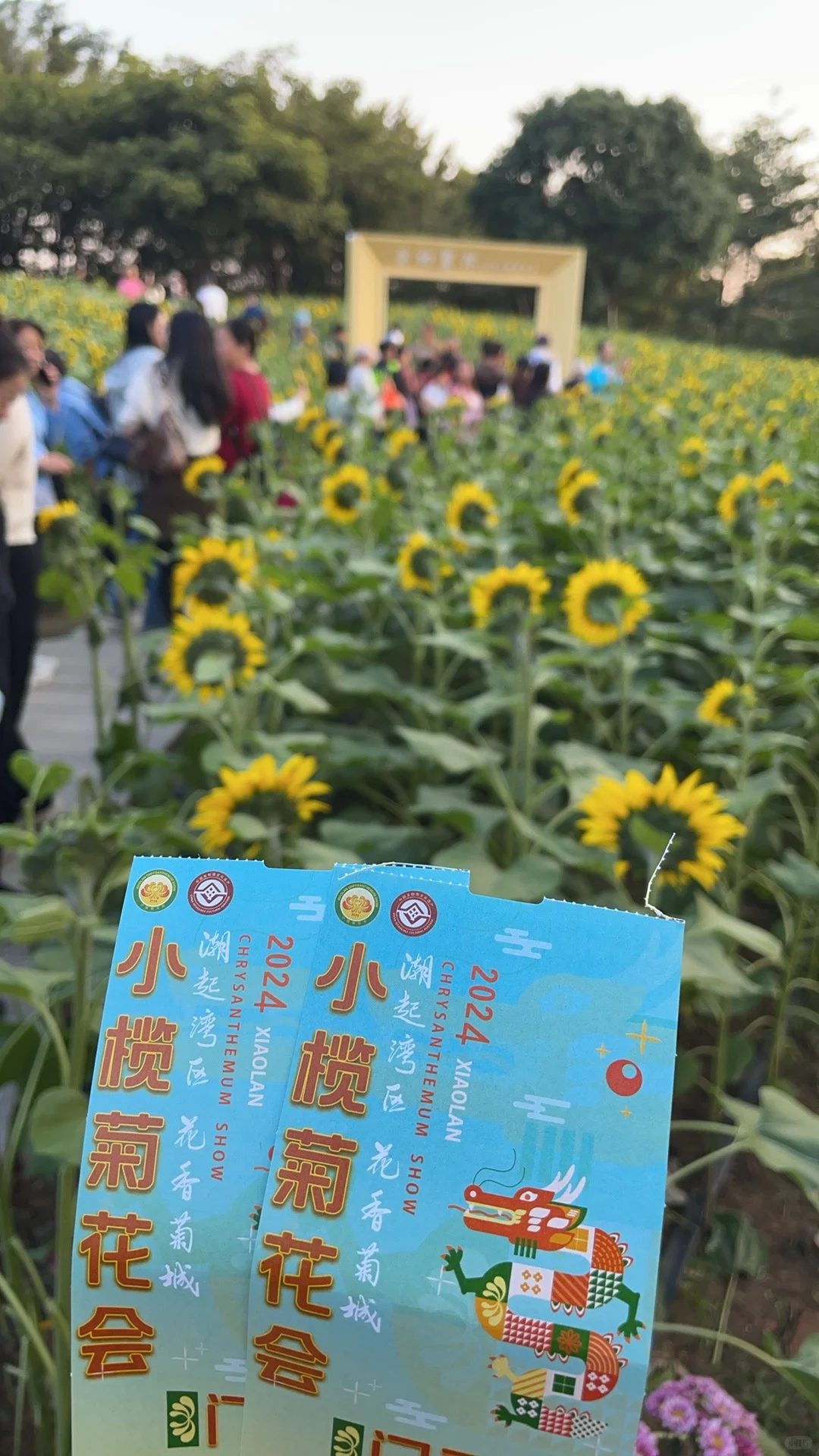 ?50岁阿姨的养花种菜日记 | 享受生活