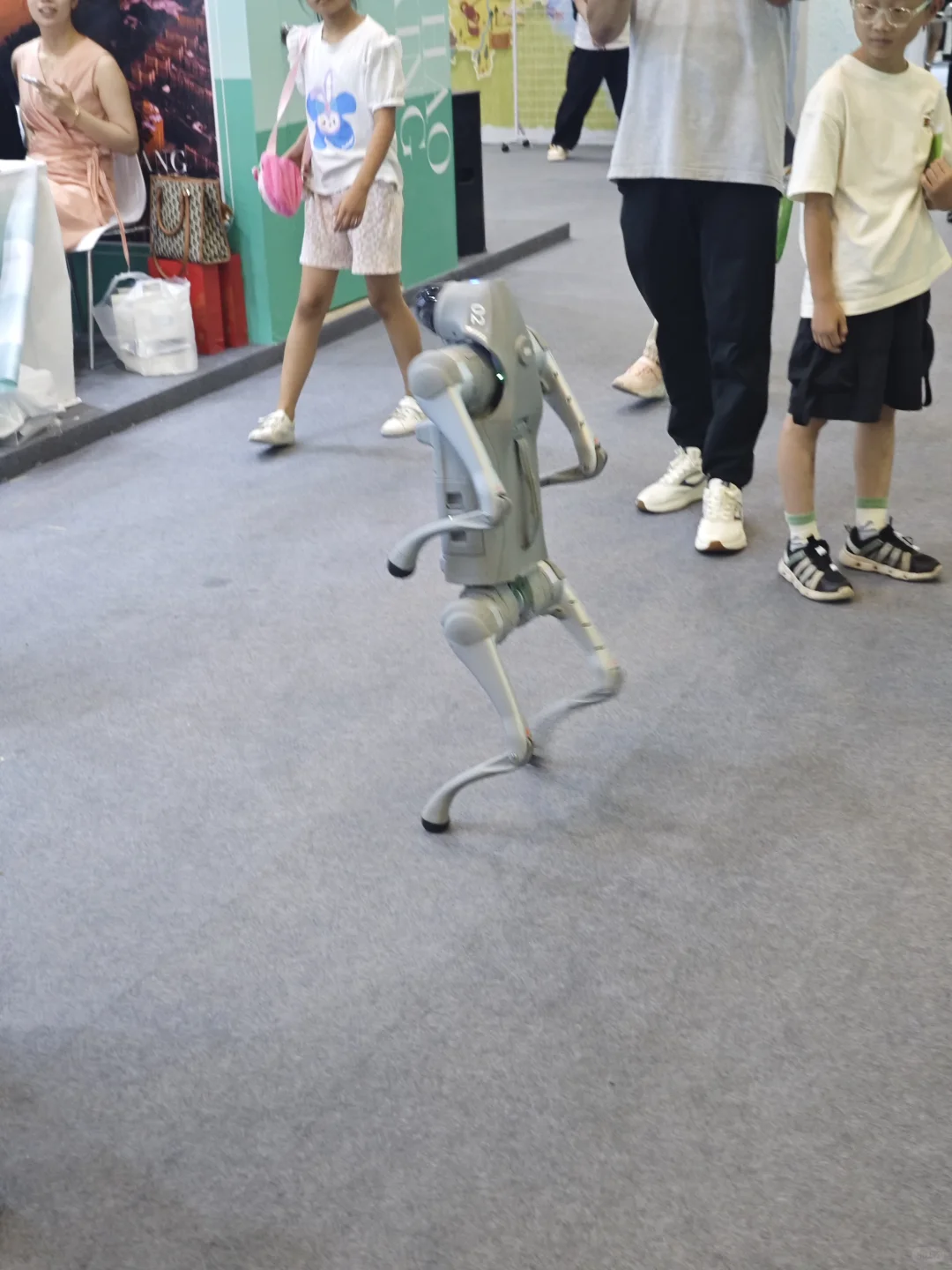 ✨ 第七届大运河文旅博览会打卡